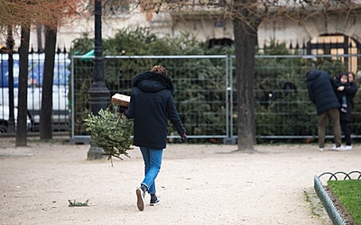 L'opération "Recyclons nos sapins" permet de donner une deuxième vie à son sapin