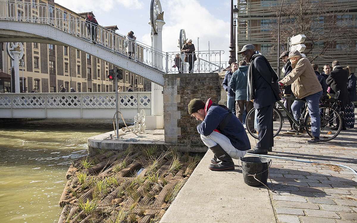 Radeau végétalisé sur le Canal de l'Ourcq