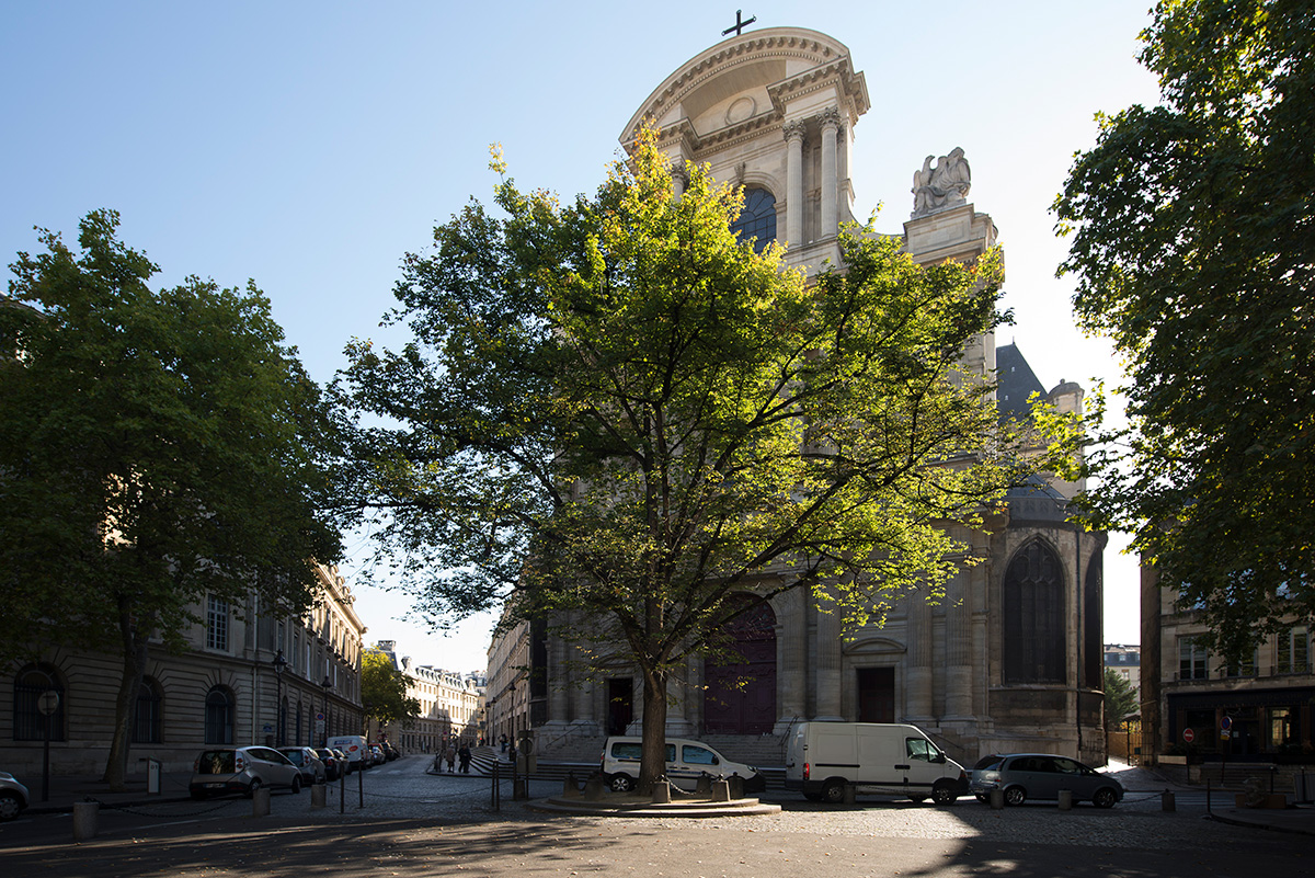 L'orme trône fièrement devant l'église Saint-Gervais-Saint-Protais