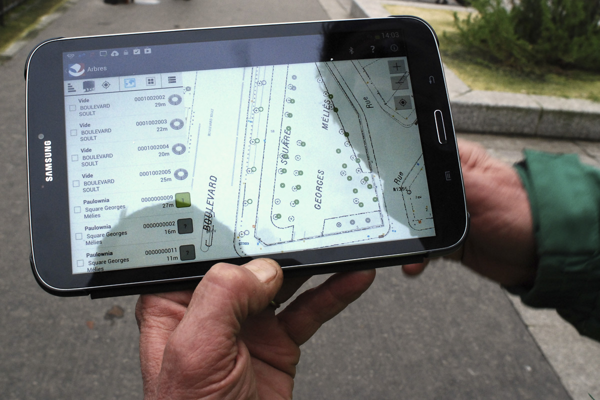 Application de suivi des arbres à Paris.