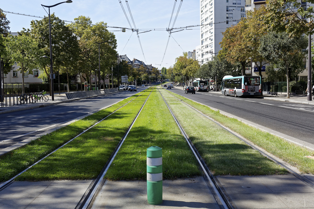 Pelouse du tramway T3.