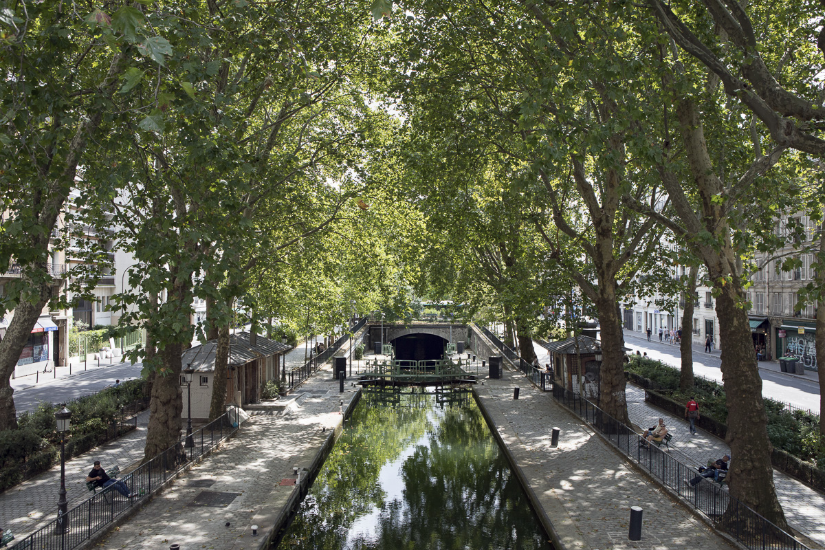 Les arbres sur le canal Saint-Martin.