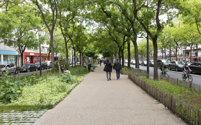 Végétalisation du boulevard de Belleville.