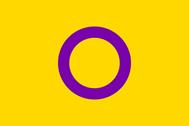 Drapeau pour la journée internationale de visibilité intersexe