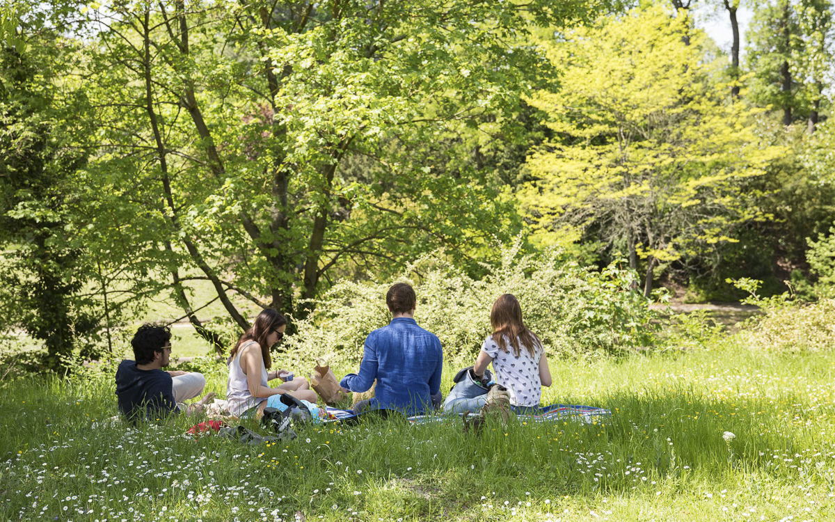 Pique-nique au Bois de Boulogne.