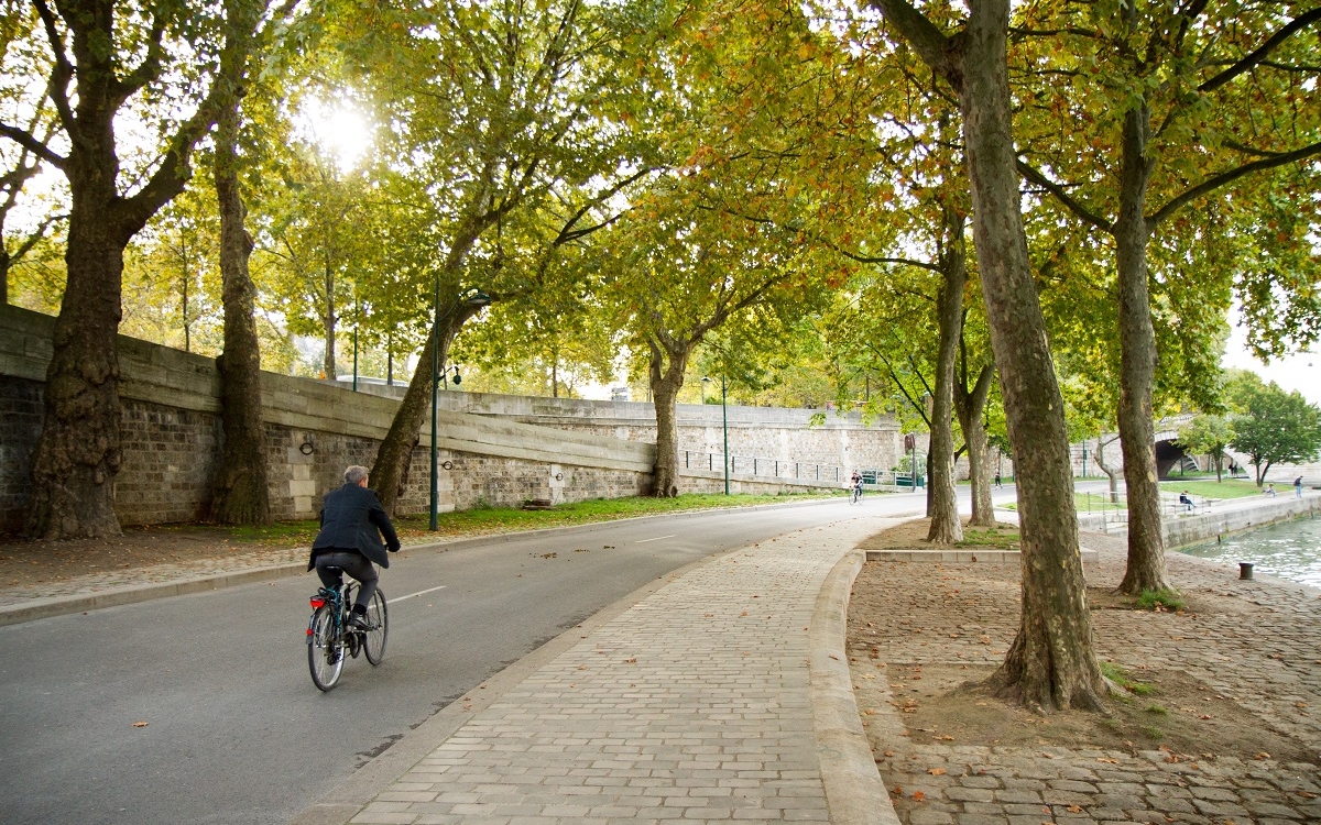 Rives de Seine