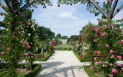 Parc de Bagatelle