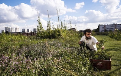 Ferme urbaine de Saint-Denis / Zone sensible