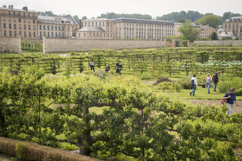 Le Potager du Roi