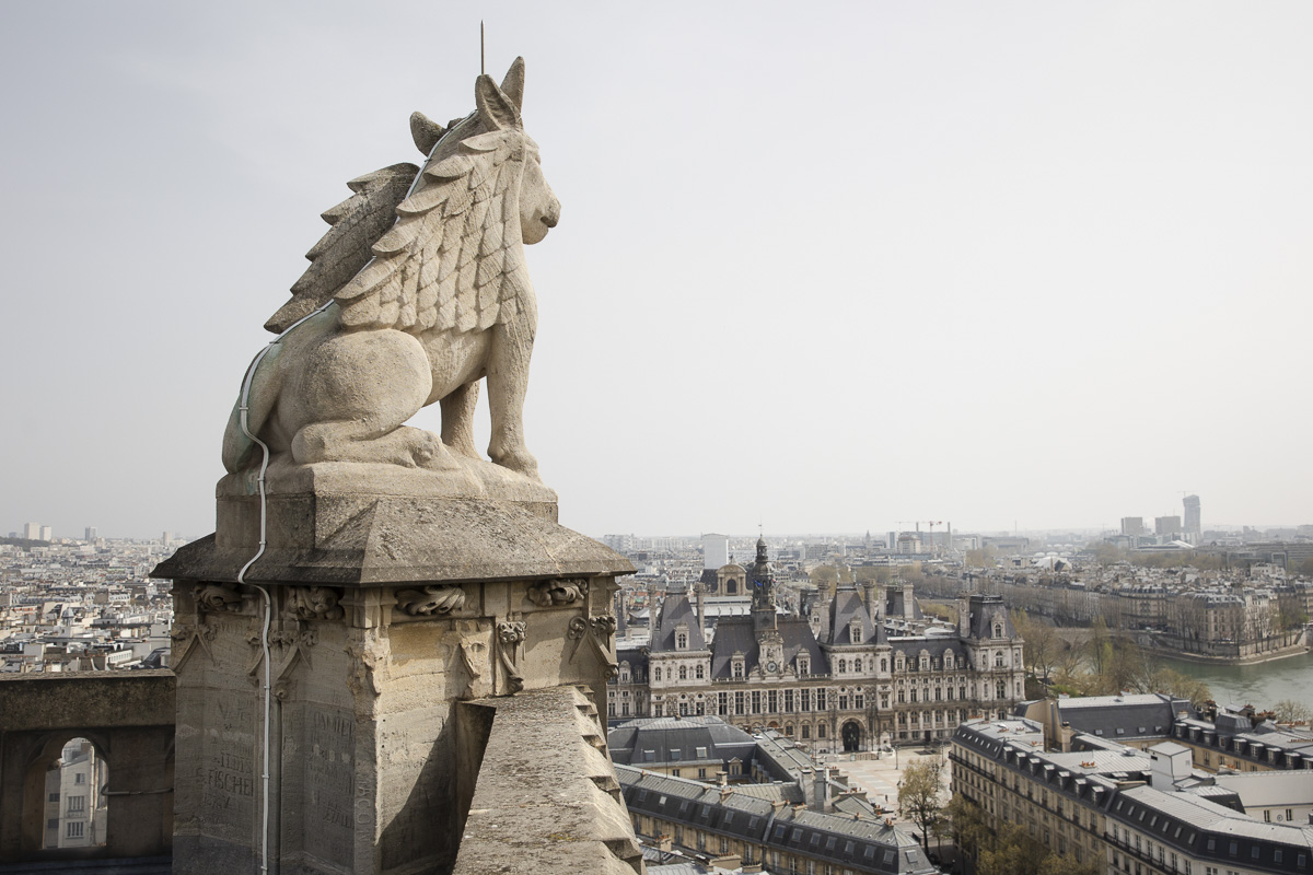 Depuis la tour Saint-Jacques