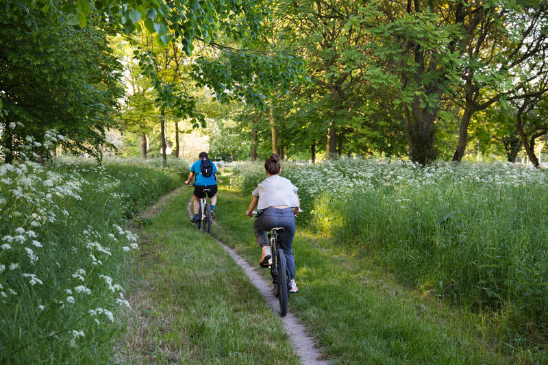 Vélo au Bois de Boulogne