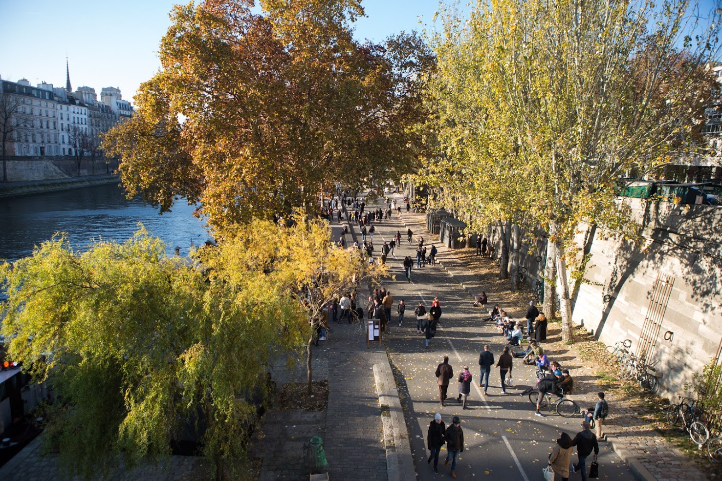 Berges de Seine