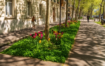 Permis de végétaliser situé Boulevard Saint Jacques