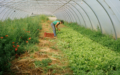 agriculture durable