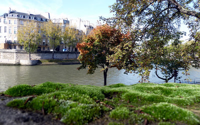 Quai d'Anjou