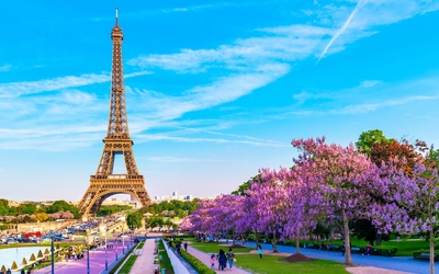 The Eiffel Tower with a park in front and pink flowers
